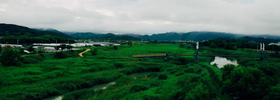 image_6584862011469292325238.jpg?type=w966