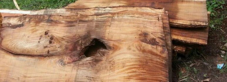 image_7570217931472698078354.jpg?type=w773