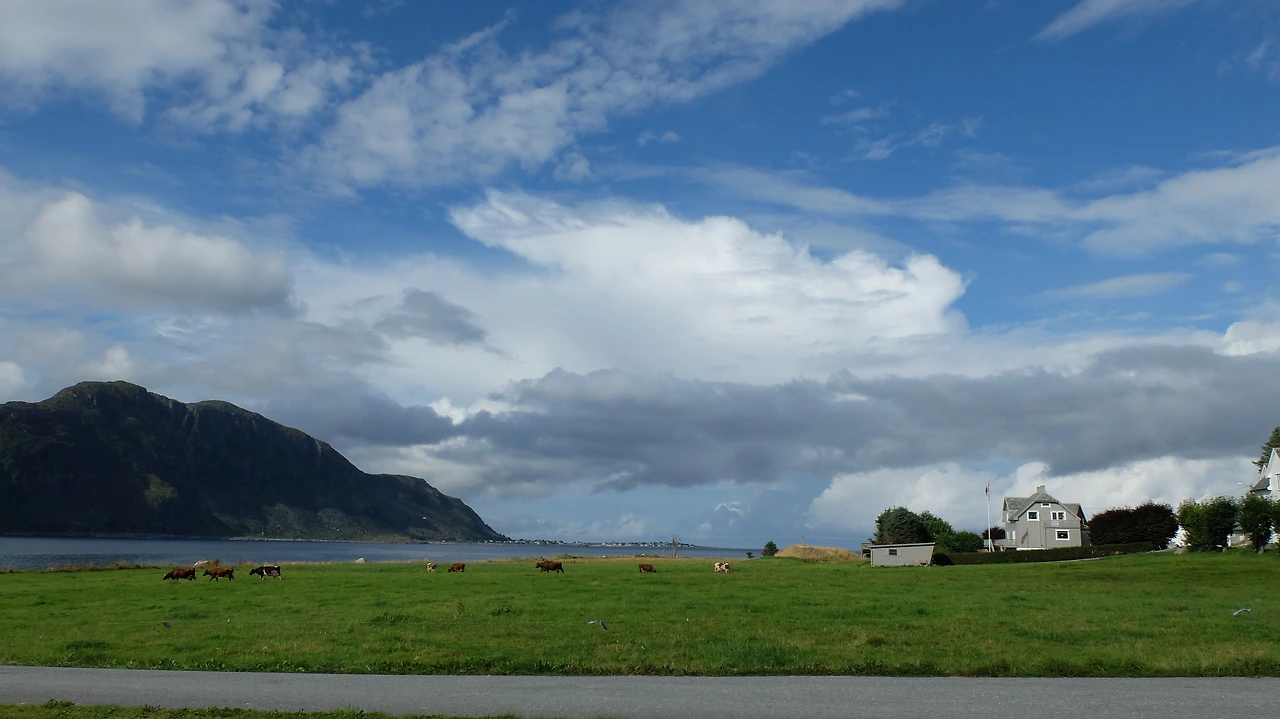 146 house journey 2952.JPG