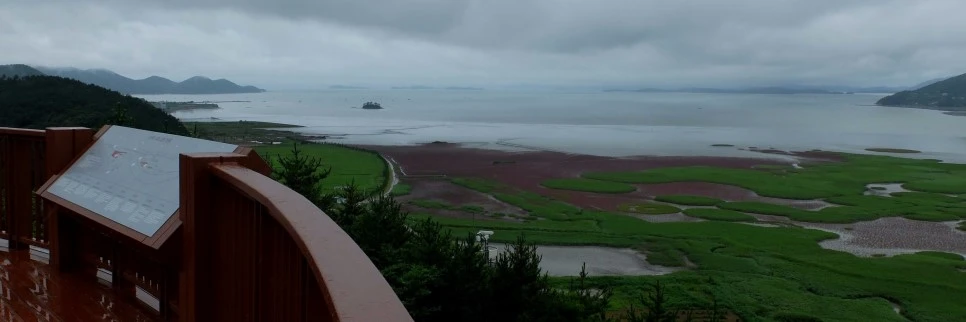 image_7665148681469292212965.jpg?type=w966