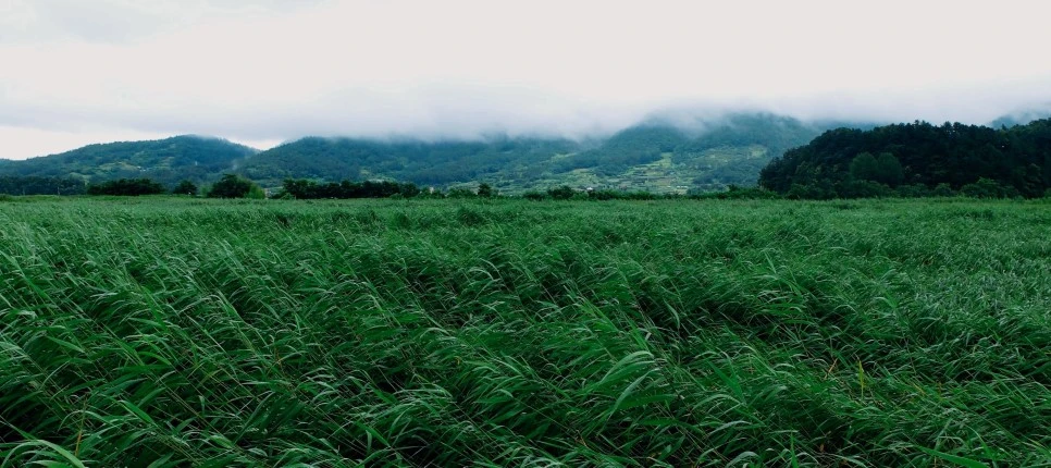 image_5388839501469292228122.jpg?type=w966