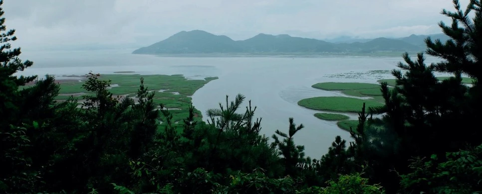 image_2124342181469292168273.jpg?type=w966