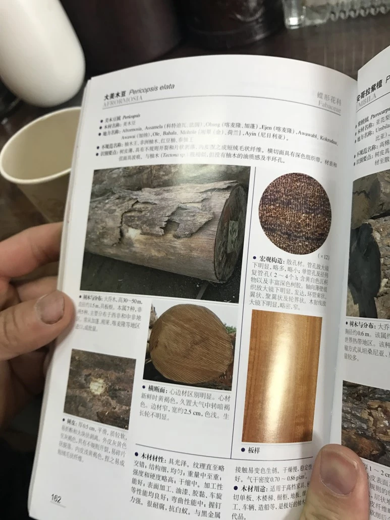 IMG_3173.JPG?type=w773