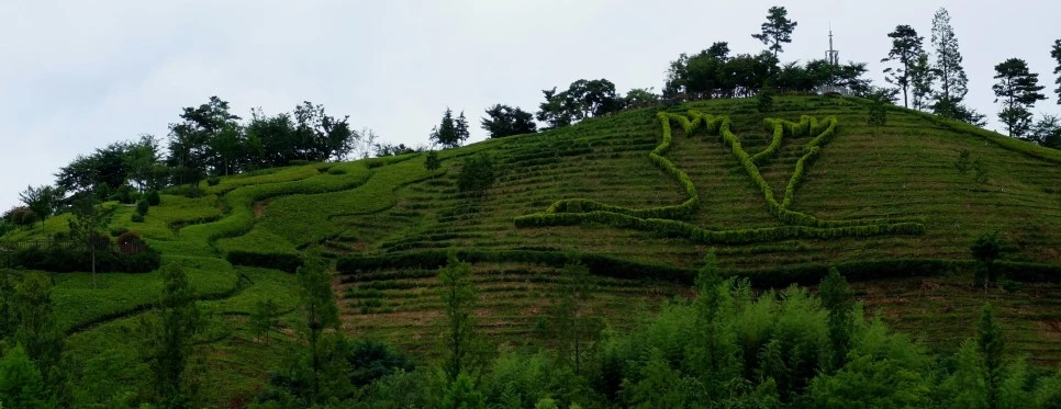 image_227861341469292242098.jpg?type=w966