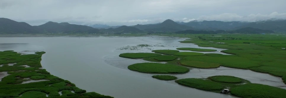 image_6473093171469292189885.jpg?type=w966