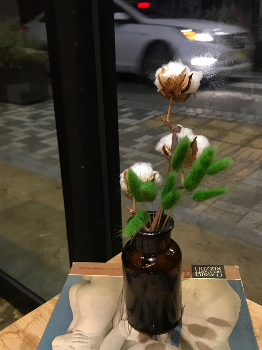 IMG_6151.jpg?type=w966