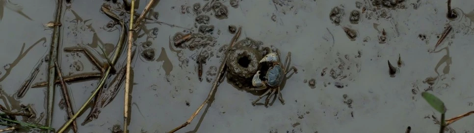 image_5639303161469292018876.jpg?type=w966