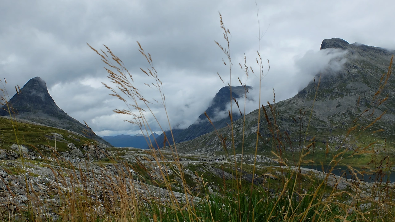 146 house journey 3205.JPG