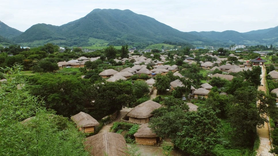 image_2400512041469351595026.jpg?type=w966