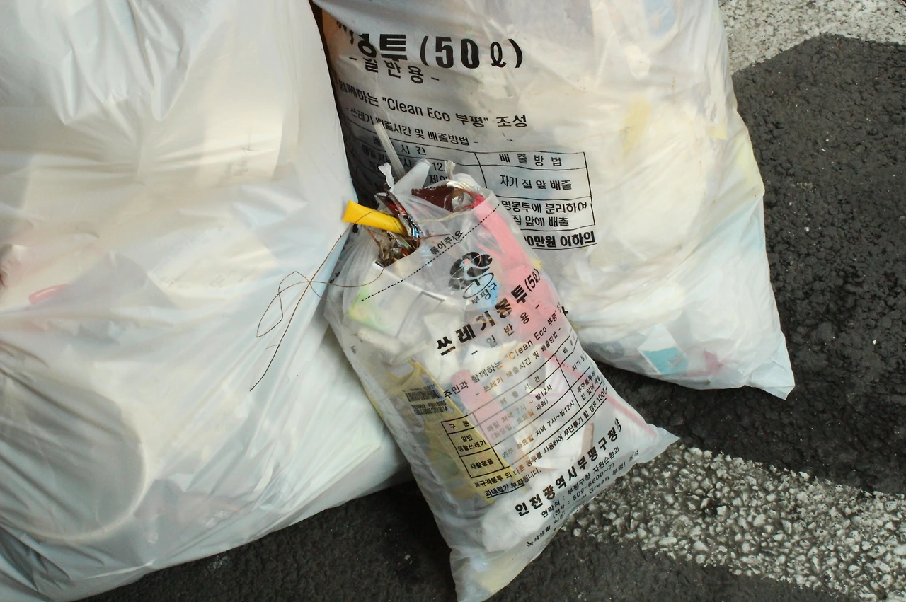 [크기변환]2. 플로깅_7.JPG