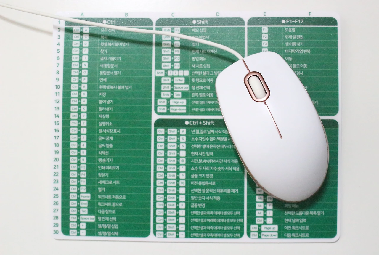 1. 엑셀 마우스 패드_2.JPG
