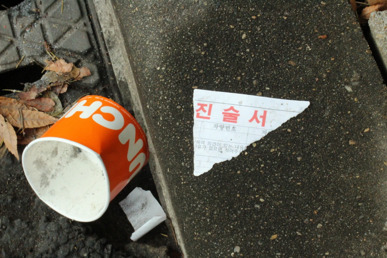 [크기변환][크기변환]2. 플로깅_3.JPG