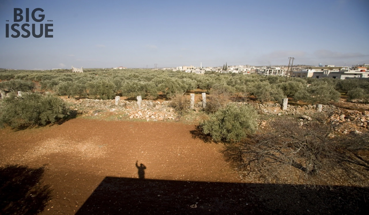 다운로드 (5).bmp