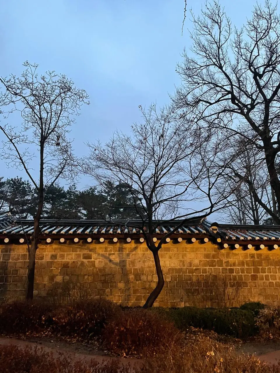 photo_2021-02-15 08.04.55.jpeg