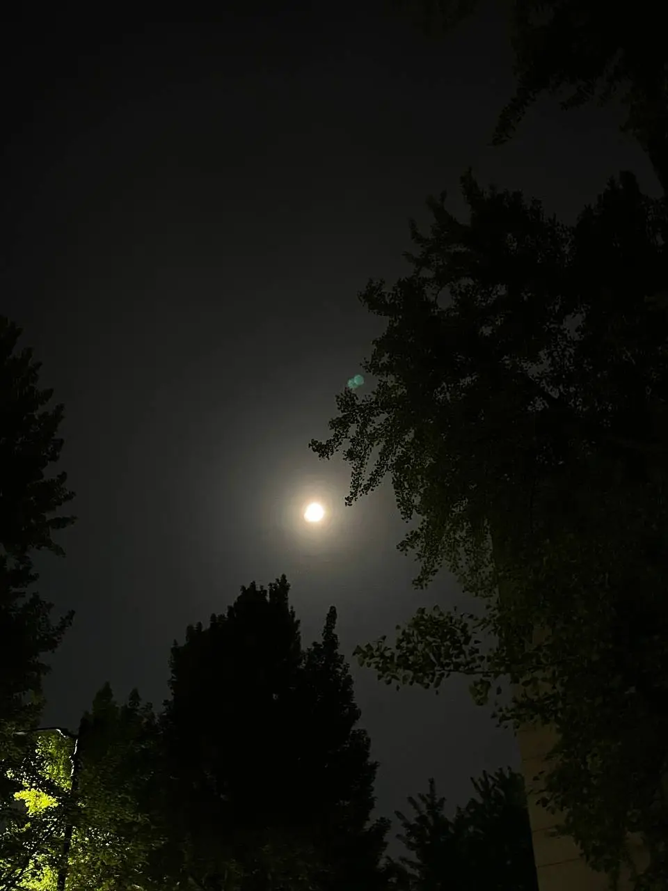 photo_2021-04-27 16.17.56.jpeg