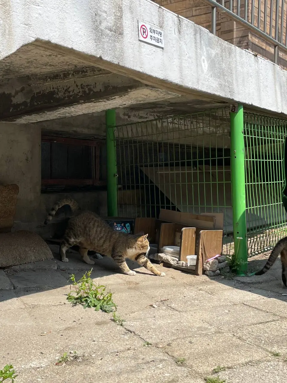 photo_2021-04-07 14.51.30.jpeg