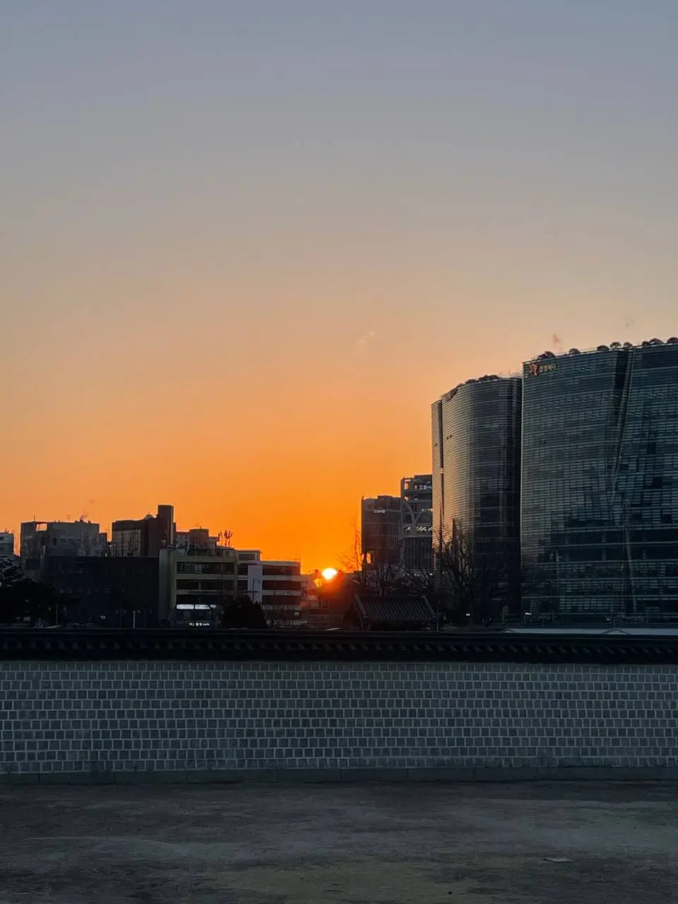 photo_2021-02-19 08.16.35.jpeg