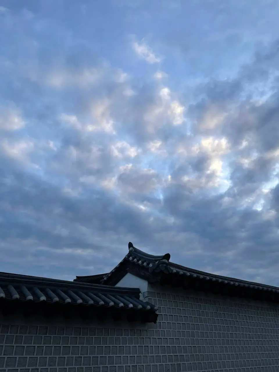 photo_2021-05-03 08.06.23.jpeg