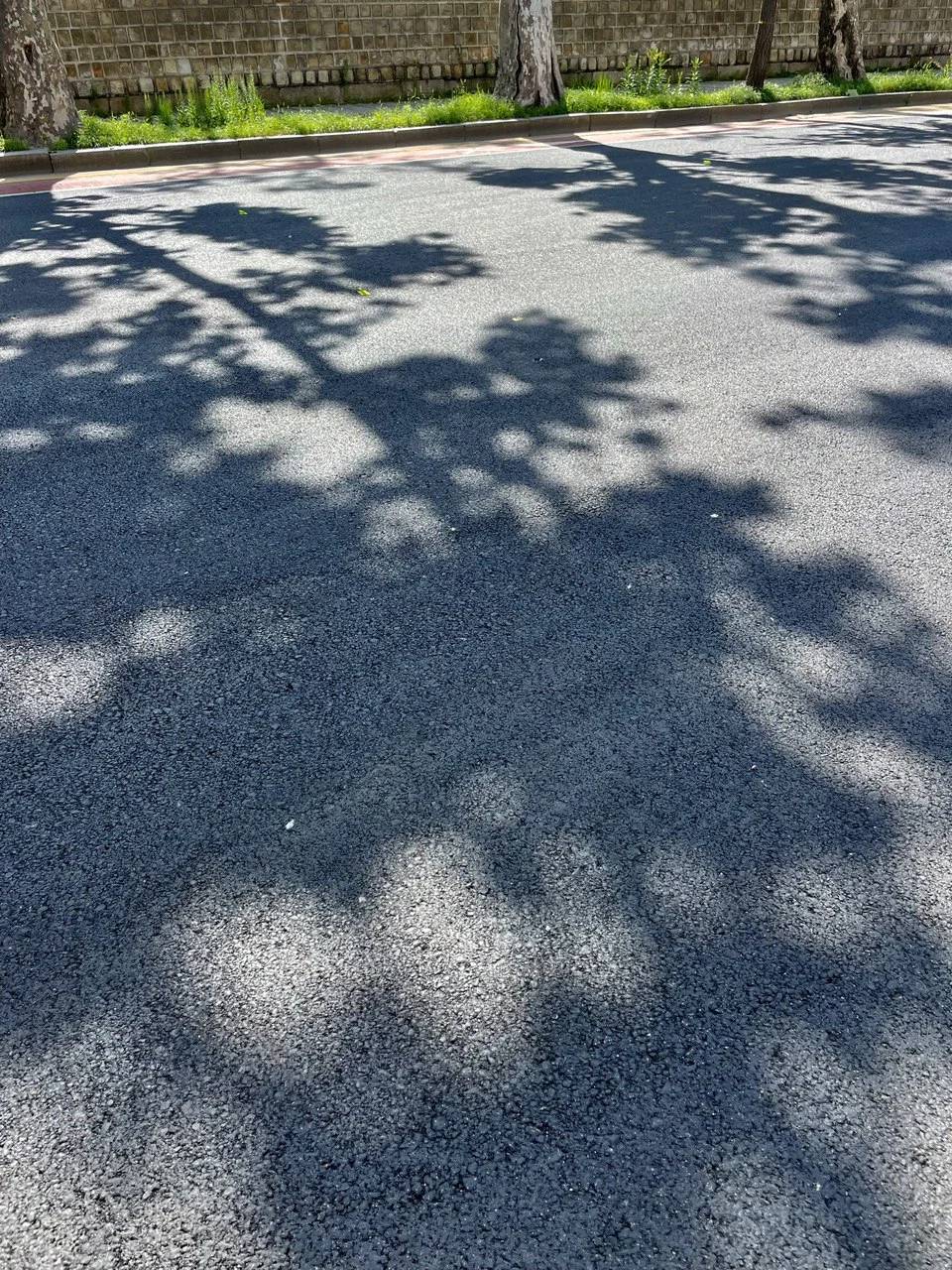 photo_2021-06-13 08.20.44.jpeg