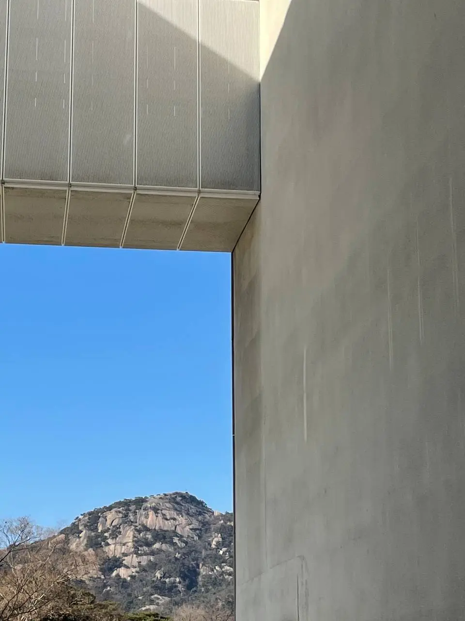 photo_2021-01-18 12.57.31.jpeg