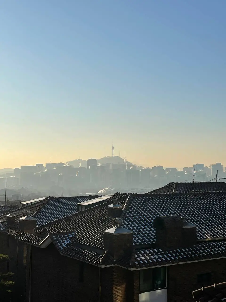 photo_2021-01-11 22.25.07.jpeg