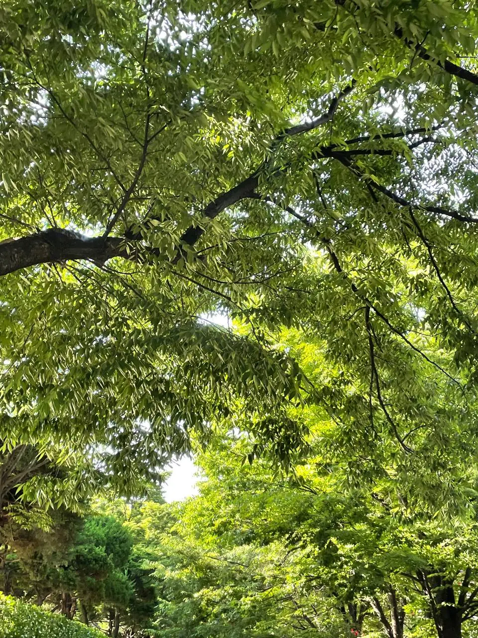 photo_2021-05-27 09.55.40.jpeg