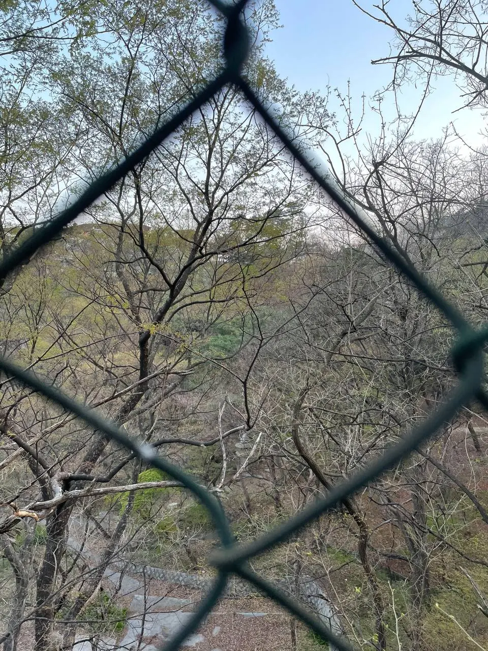 photo_2021-04-07 09.57.40.jpeg