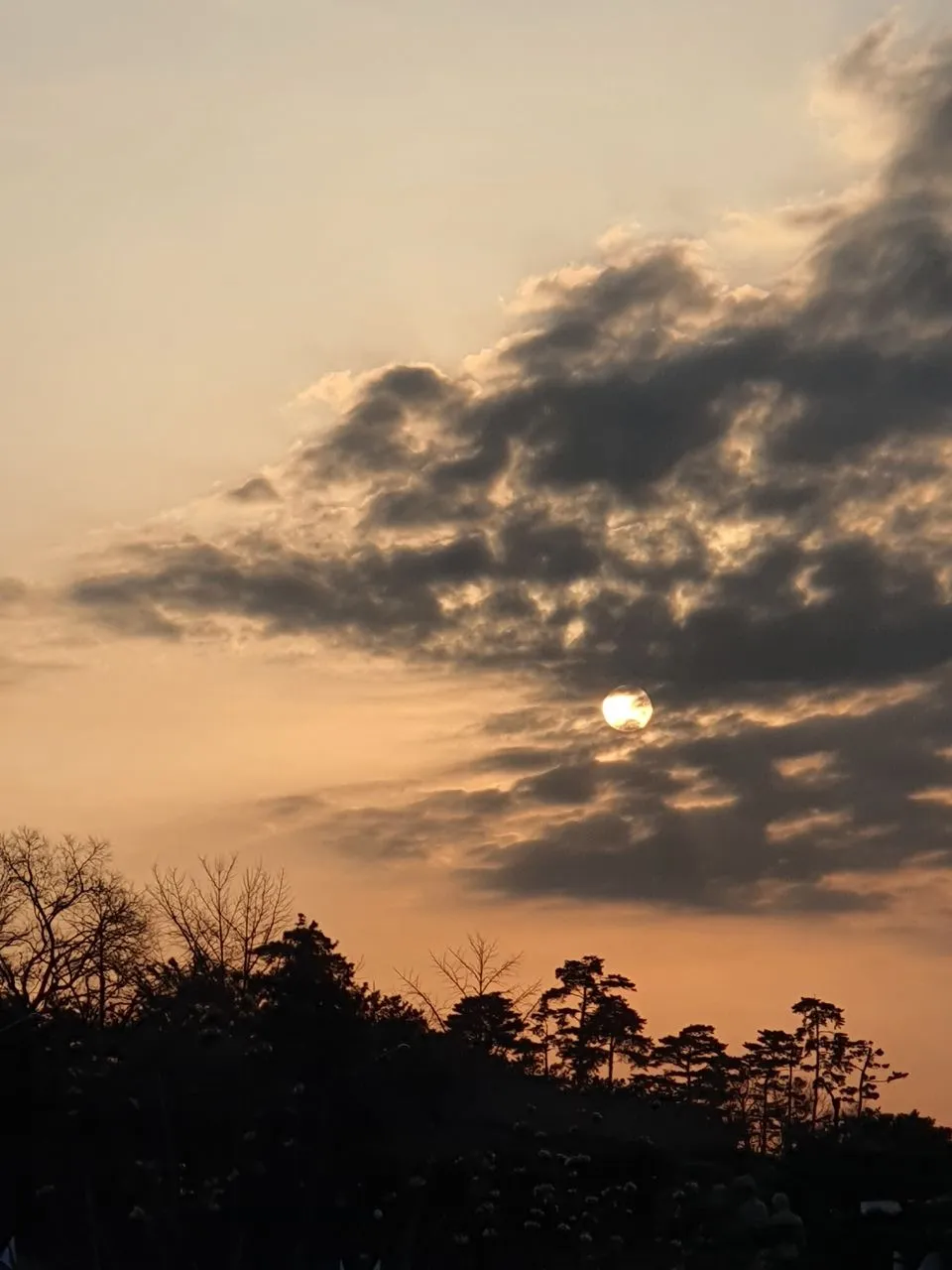 photo_2021-01-04 19.16.17.jpeg