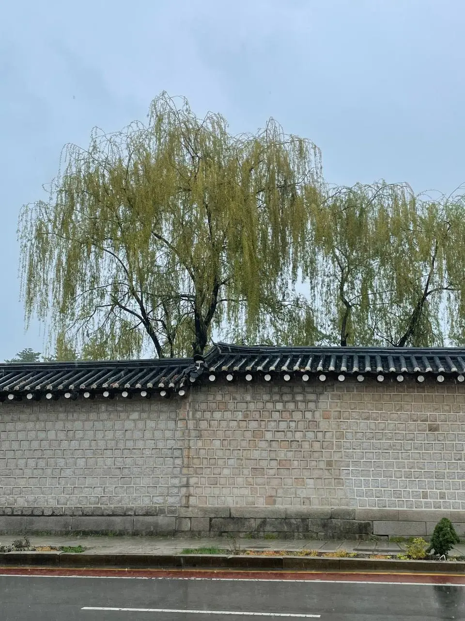 photo_2021-04-03 14.04.38.jpeg