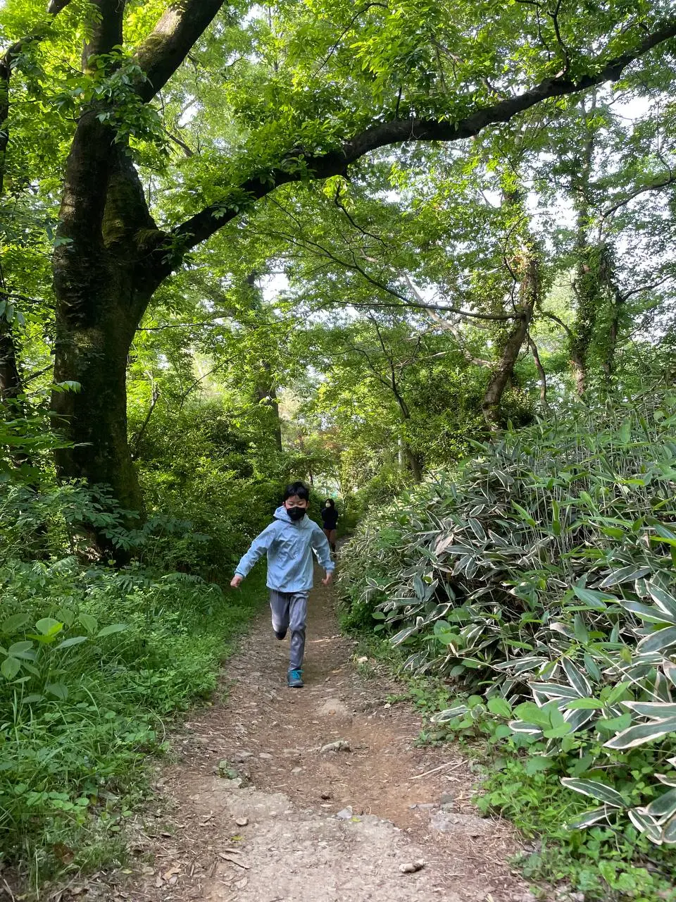 photo_2021-05-10 10.05.57.jpeg