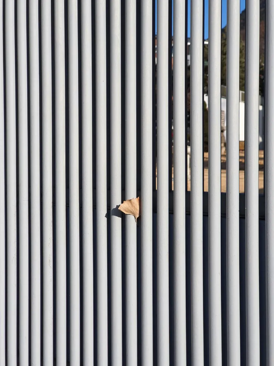 photo_2021-01-03 13.09.22.jpeg