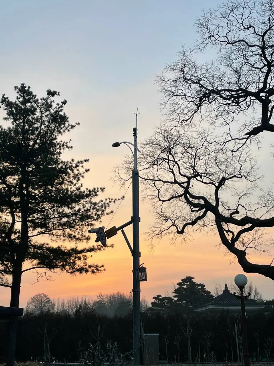 photo_2021-02-12 09.25.34.jpeg