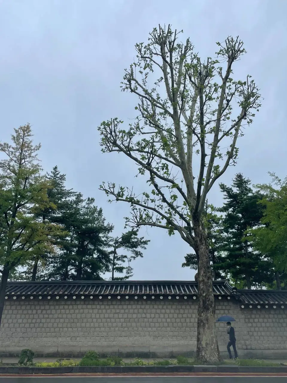 photo_2021-05-21 09.46.27.jpeg