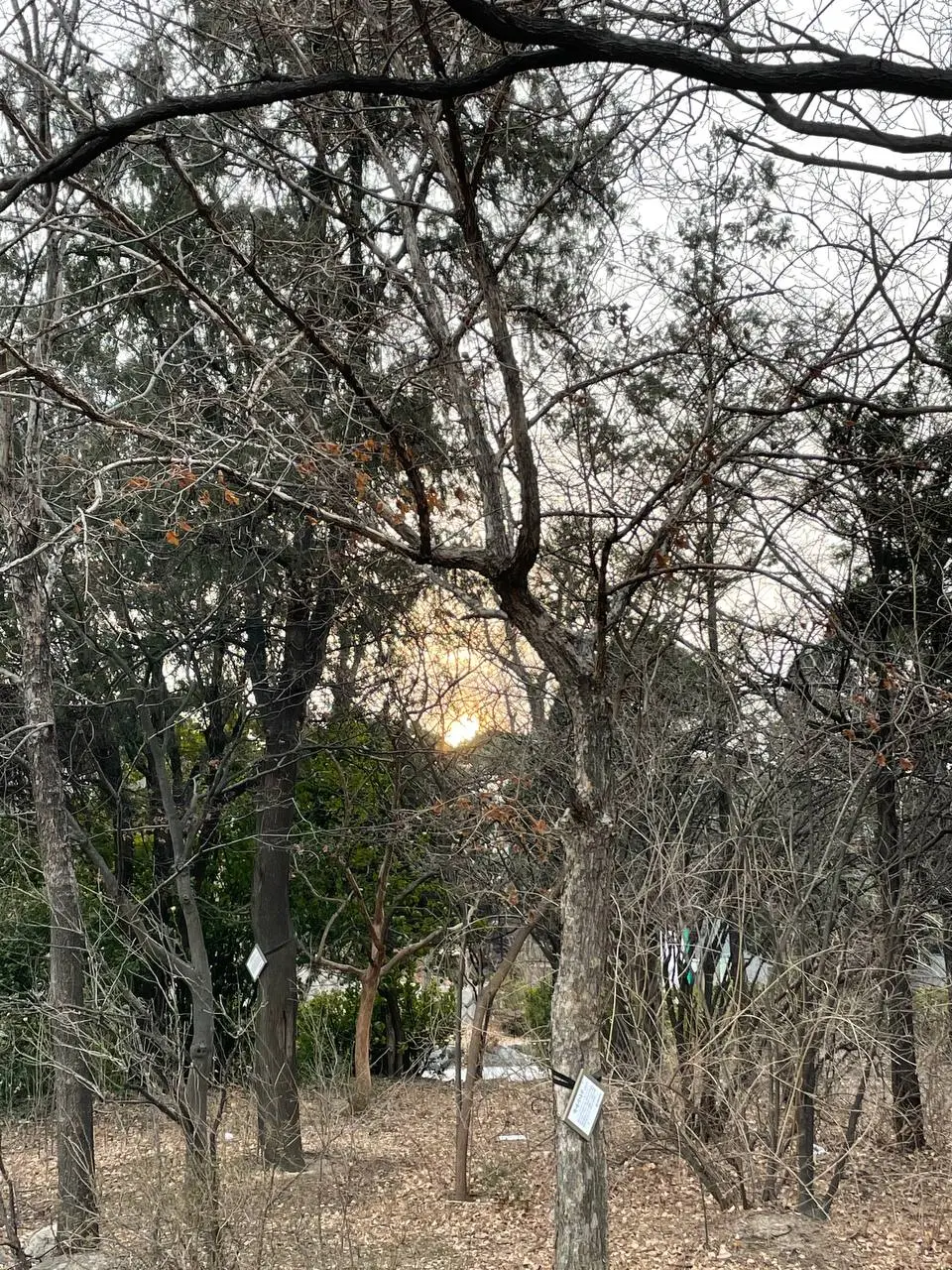 photo_2021-02-16 08.32.48.jpeg