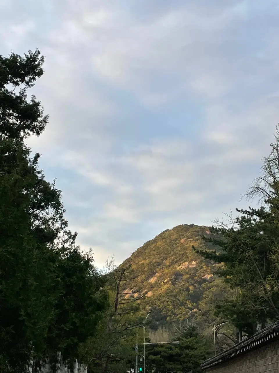 photo_2021-04-04 19.22.25.jpeg