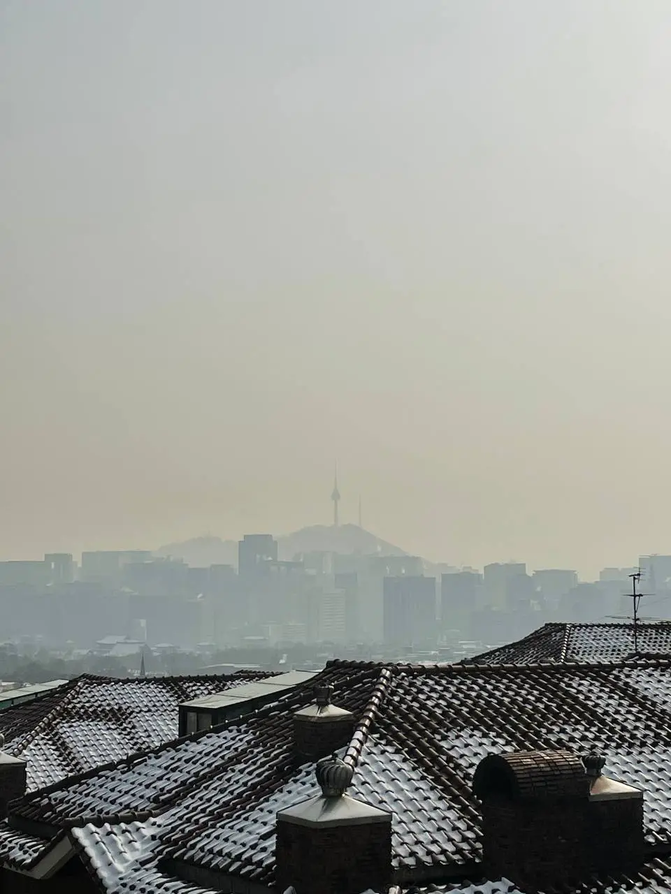 photo_2021-01-14 13.27.58.jpeg