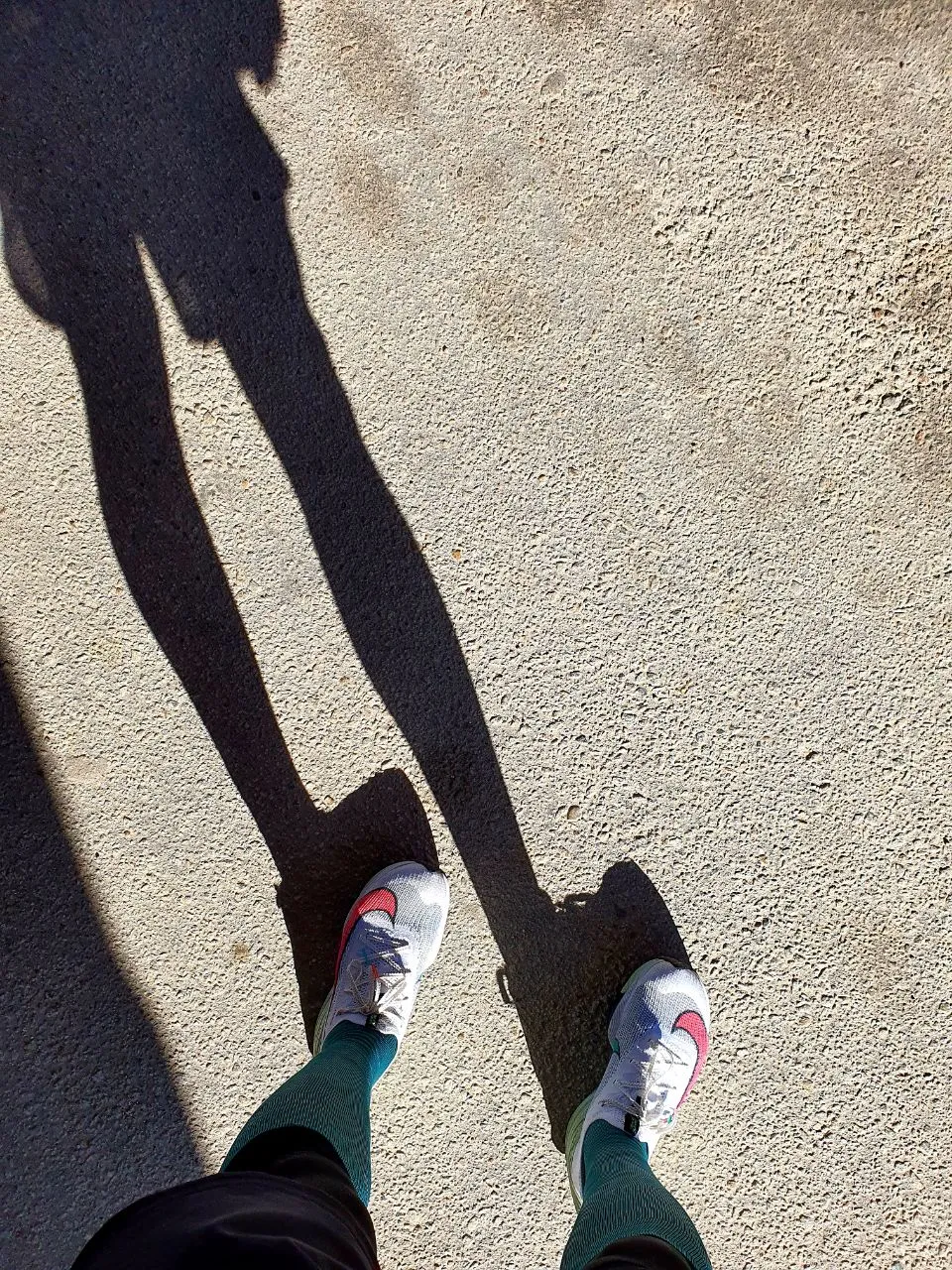 photo_2021-01-06 14.43.06.jpeg