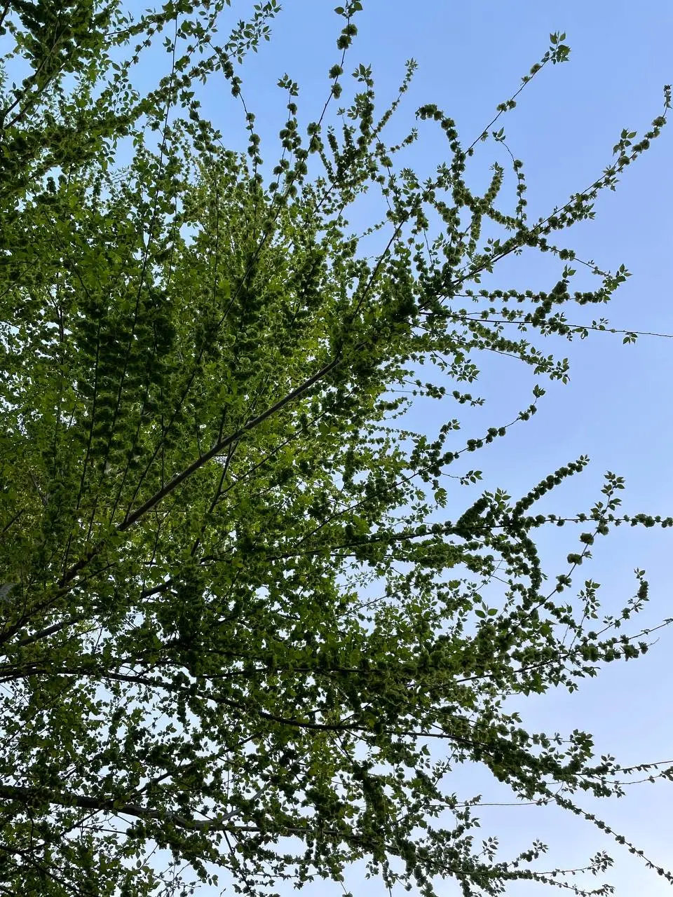 photo_2021-04-08 21.24.57.jpeg