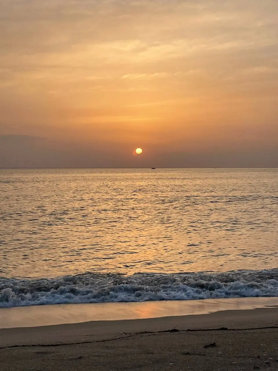 photo_2021-04-29 16.44.43.jpeg