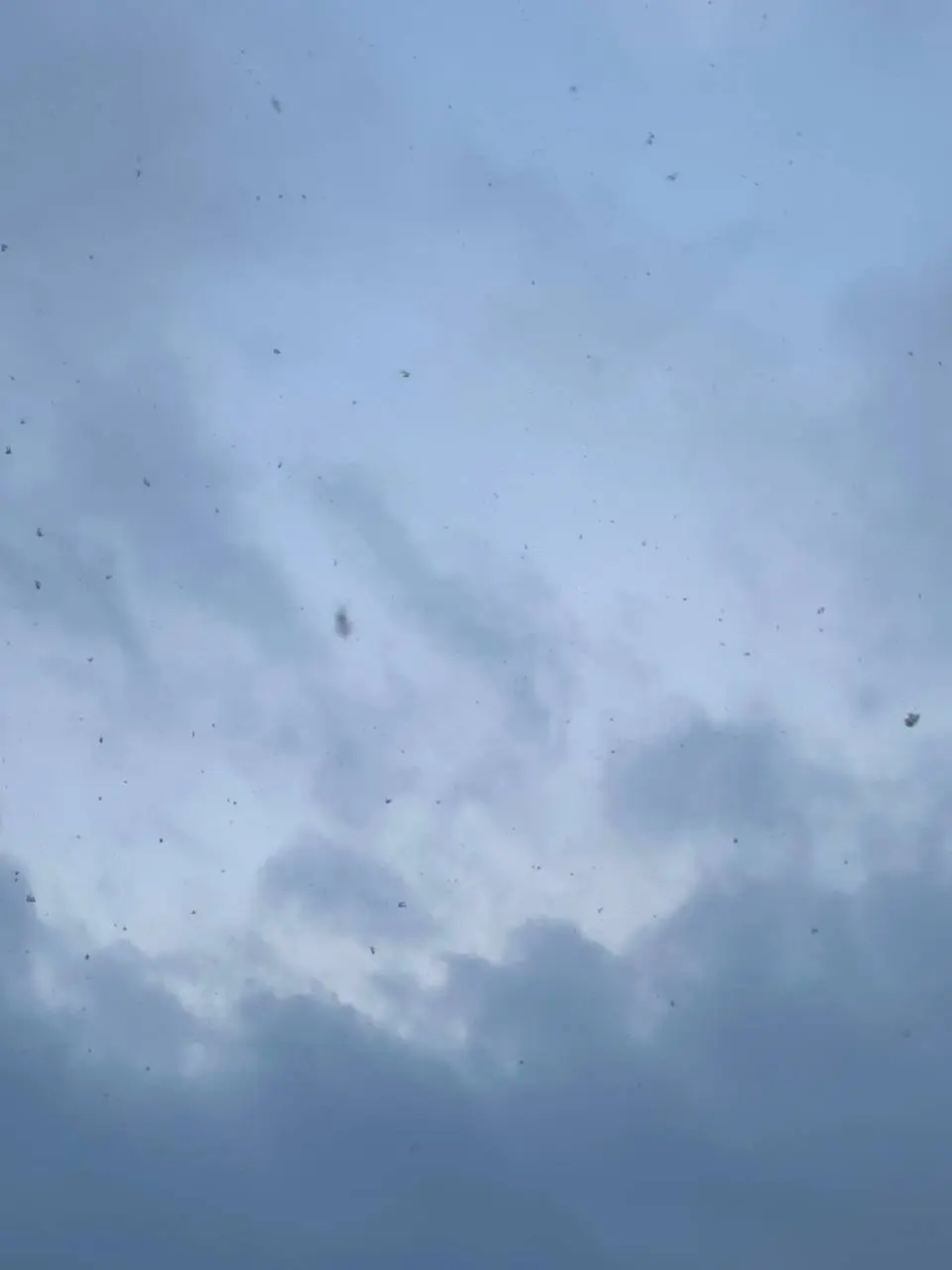 photo_2021-02-04 15.39.33.jpeg