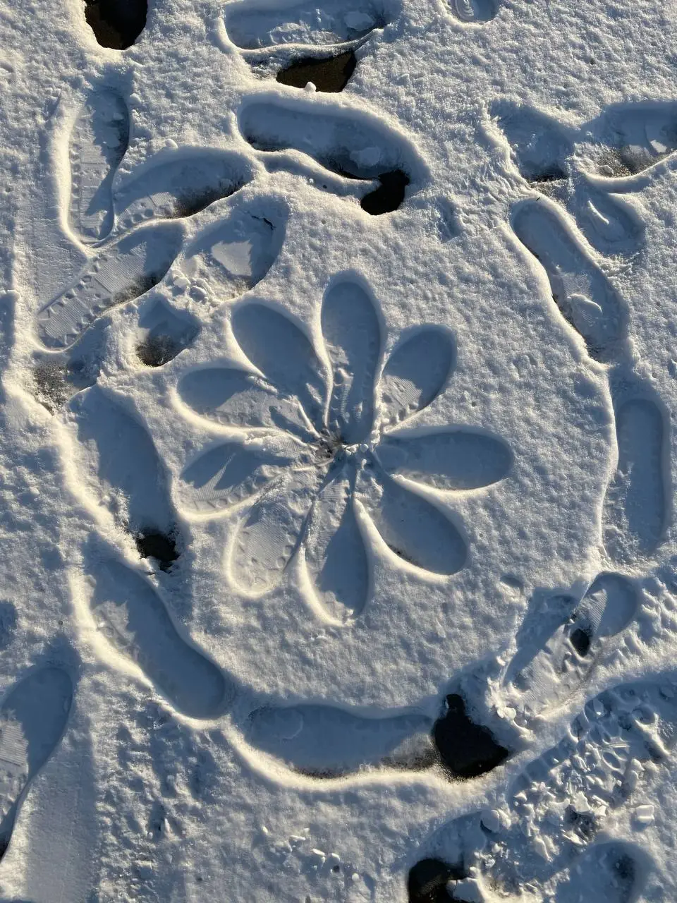 photo_2021-02-05 18.59.39.jpeg