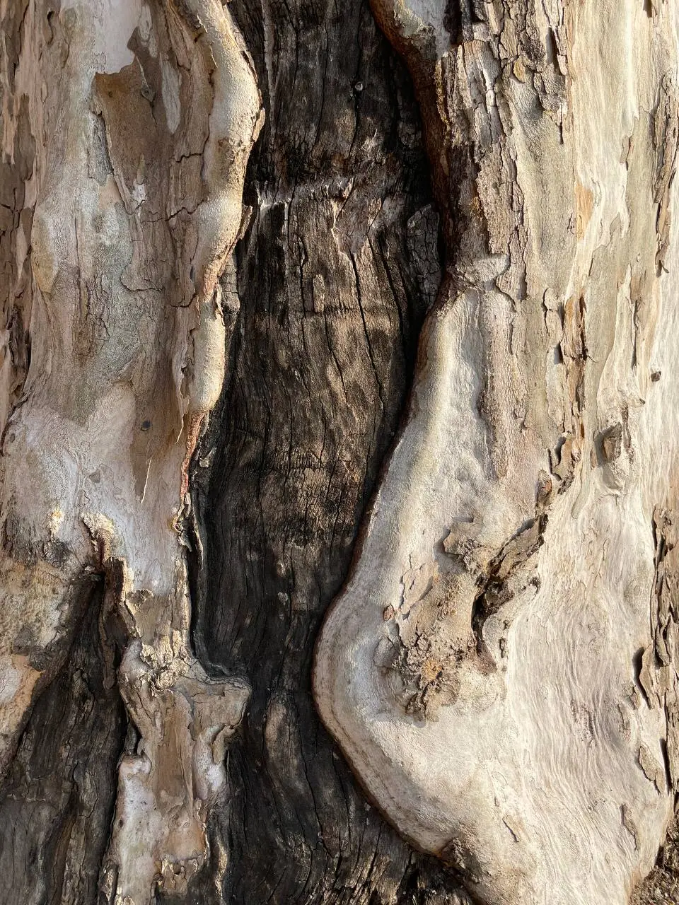 photo_2021-02-13 11.10.30.jpeg