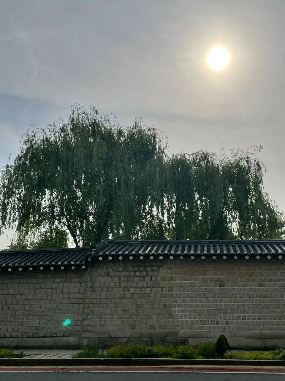 photo_2021-05-14 09.51.44.jpeg