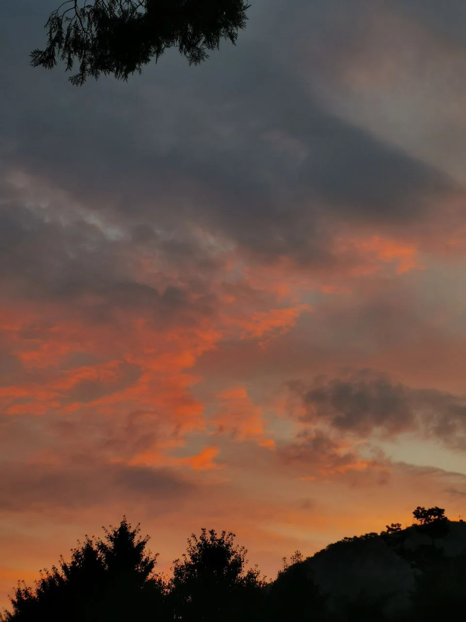 photo_2020-09-09 23.31.47.jpeg