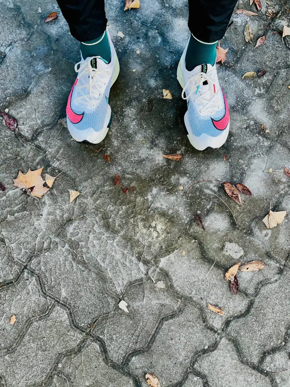 photo_2021-01-17 10.55.01.jpeg