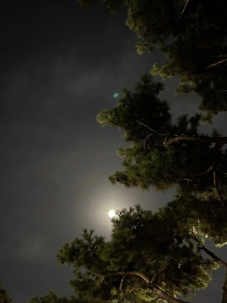 photo_2021-01-28 11.44.44.jpeg