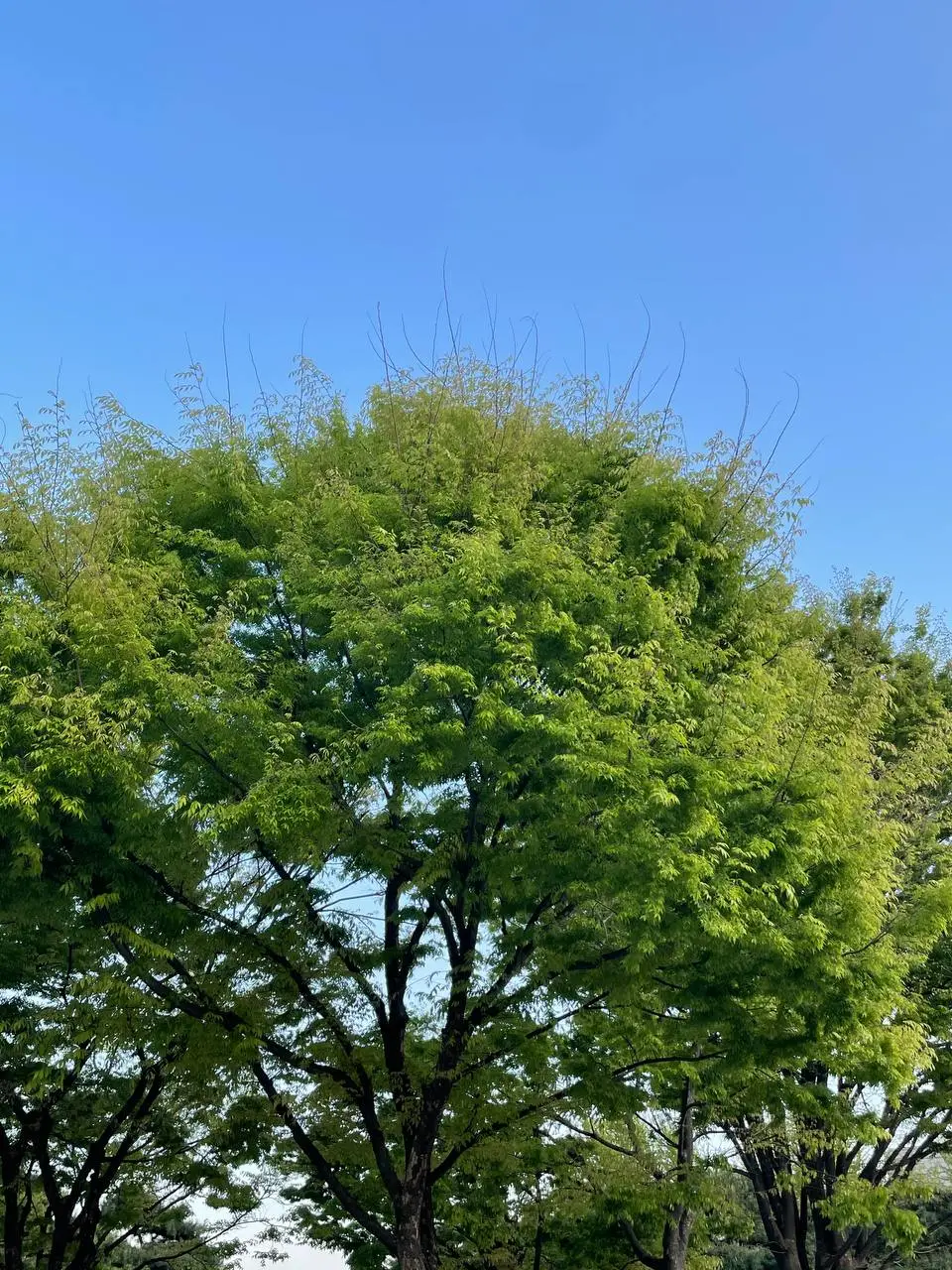 photo_2021-04-15 06.18.44.jpeg