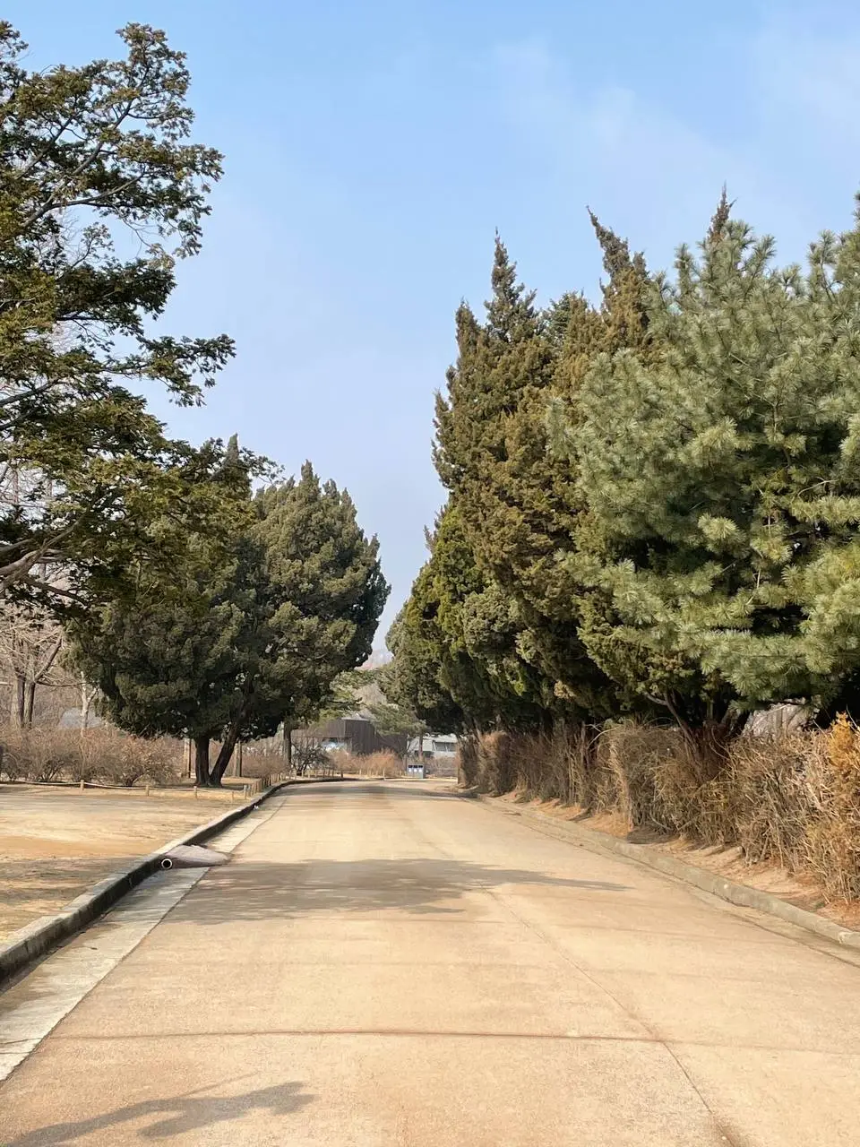 photo_2021-02-08 17.58.58.jpeg