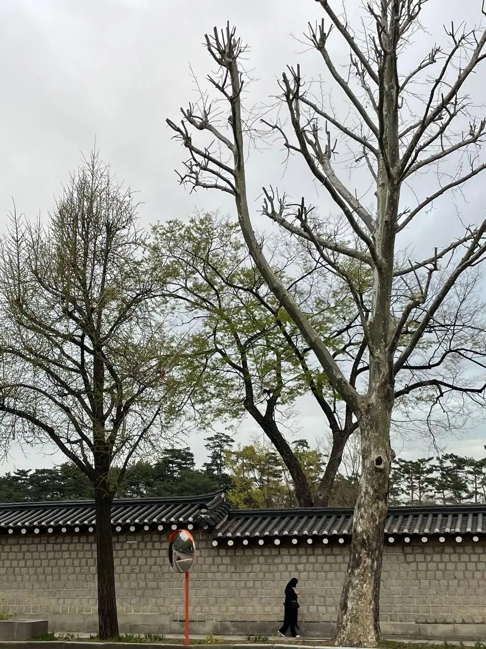 photo_2021-04-02 20.49.14.jpeg