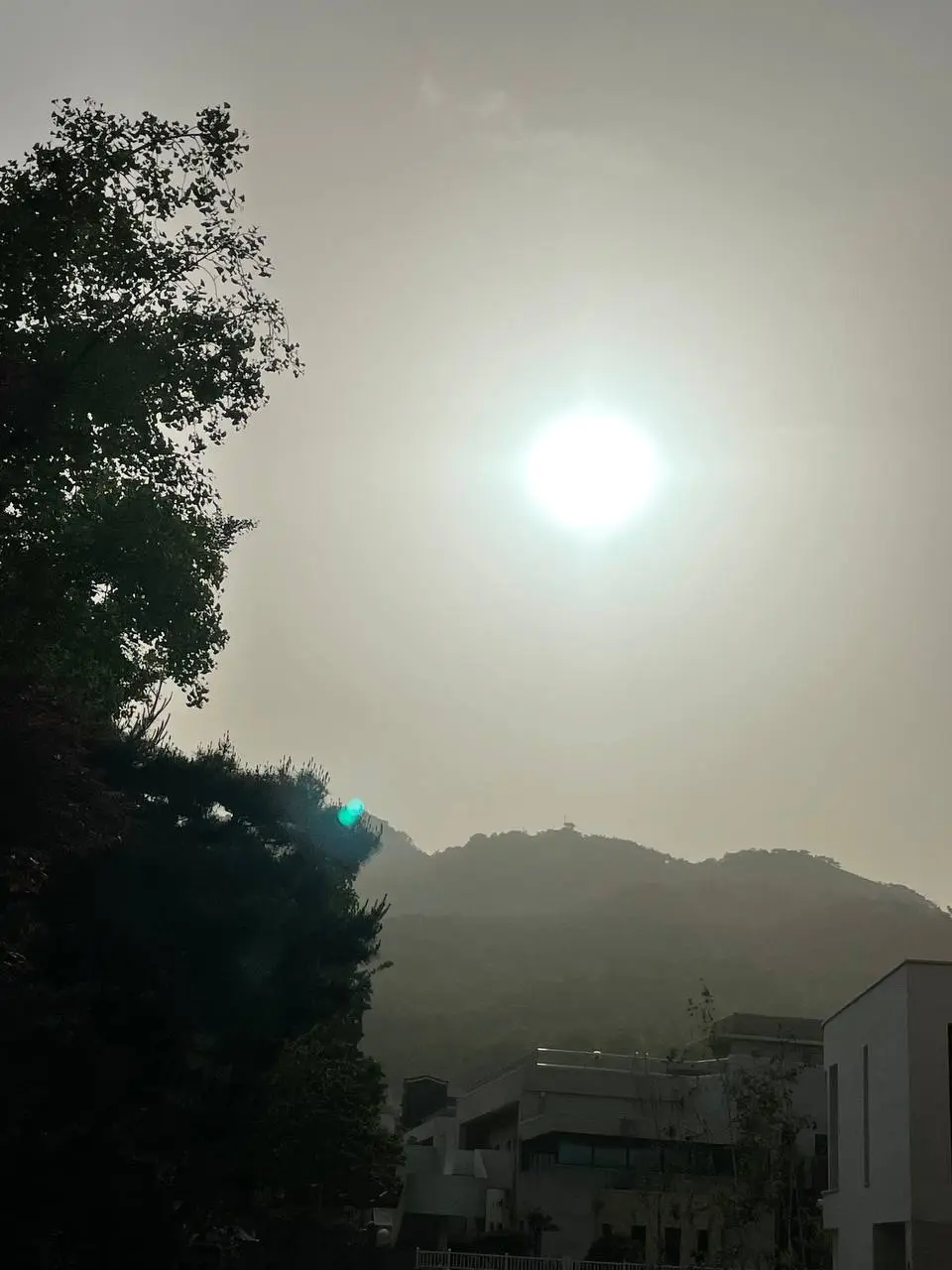 photo_2021-05-24 23.50.55.jpeg